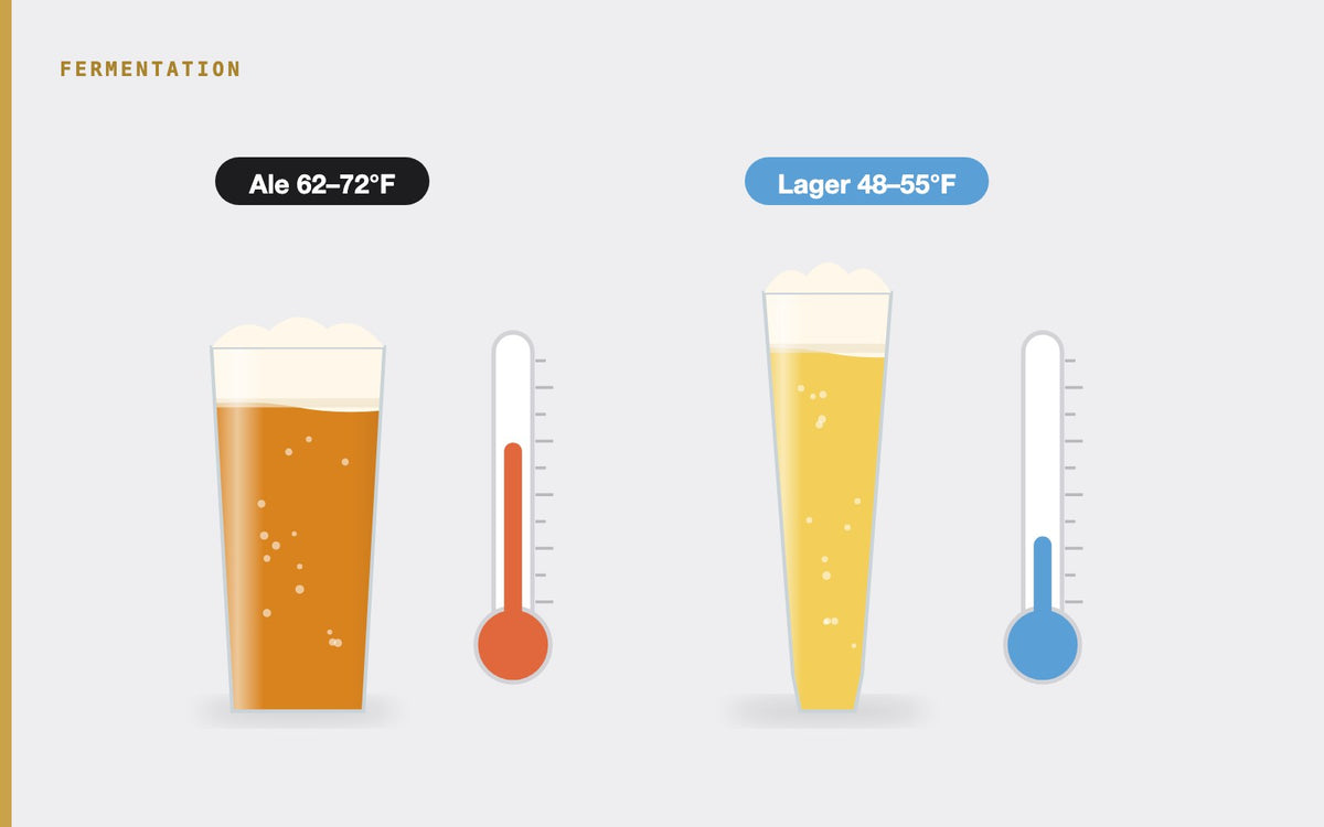 Illustration: Ale vs. Lager Fermentation: A Comprehensive Comparison