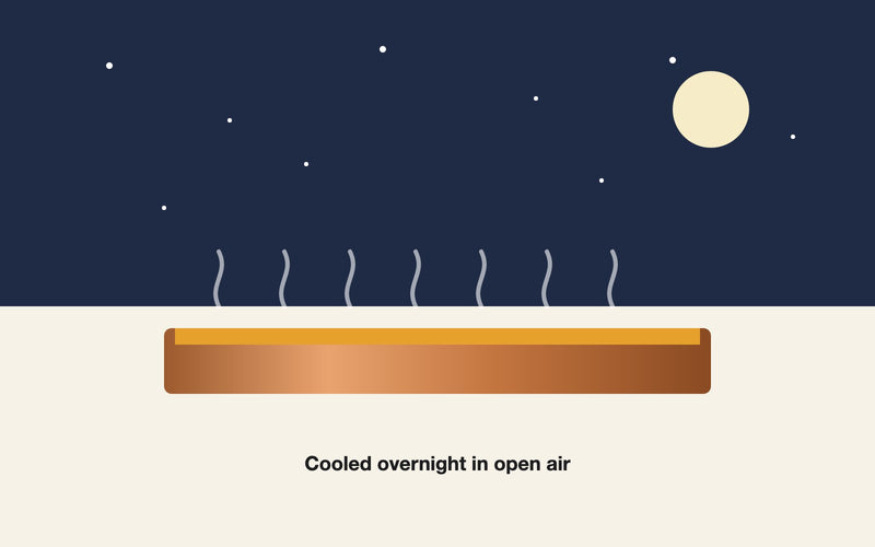 Illustration: Exploring the Art of Spontaneous Fermentation