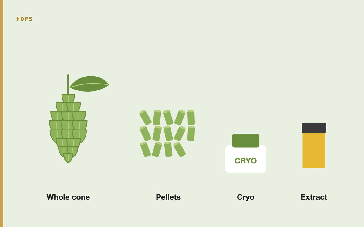 Illustration: Exploring the Latest Trends in Hop Usage