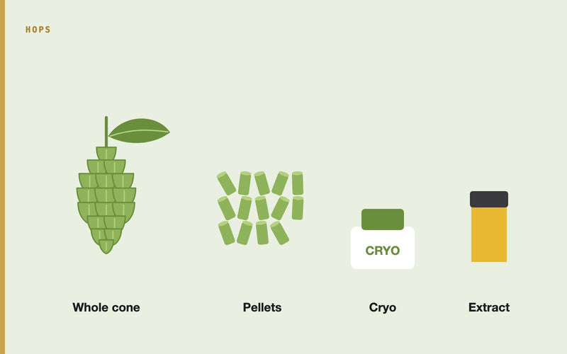 Illustration: Exploring the Latest Trends in Hop Usage