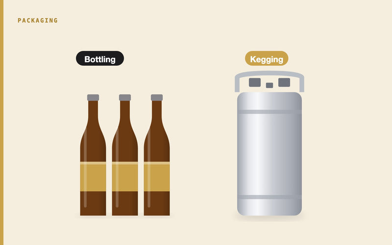 Illustration: Kegging vs Bottling Homebrew: Pros, Cons and Which to Choose