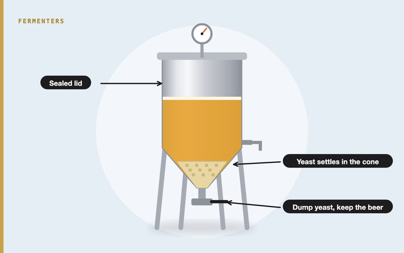 Illustration: Conical Fermenters Explained: How the Cone Works, Types, and How to Use One