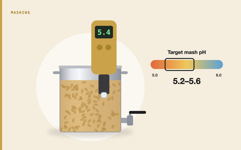Illustration: Mash pH: The Ideal Range, How to Measure It and How to Adjust It