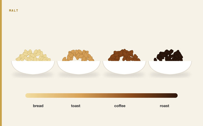 Illustration: The Impact of Grain Roasting on Beer Flavor Profiles