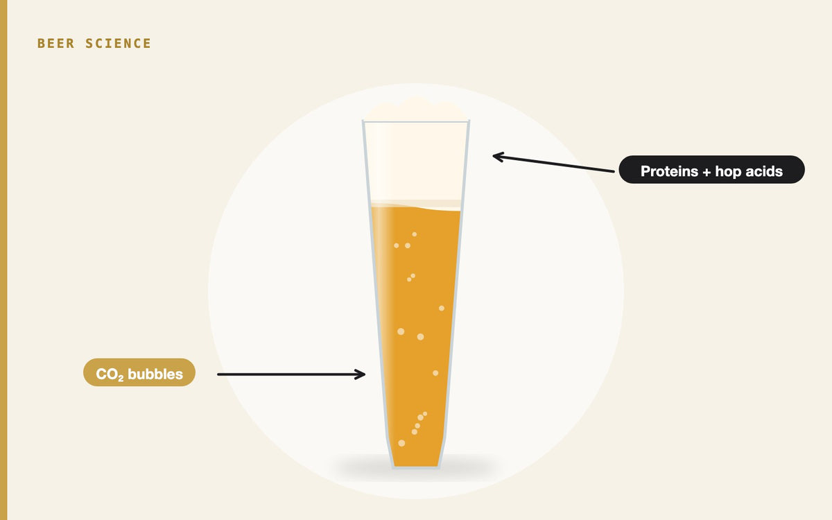 Illustration: Beer Foam: Why Beer Has a Head and How to Get a Good One
