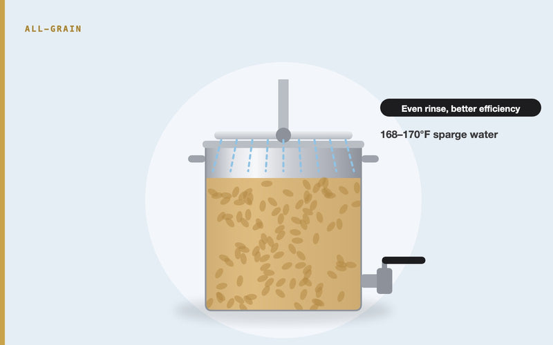 Illustration: Sparge Arms Explained: Do You Need One, and Which Kind