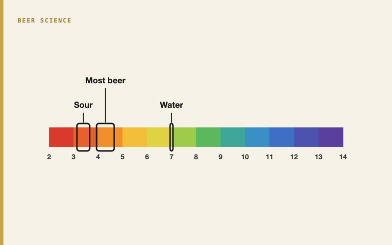 Illustration: What Is the pH of Beer? Values by Style and Why It Matters