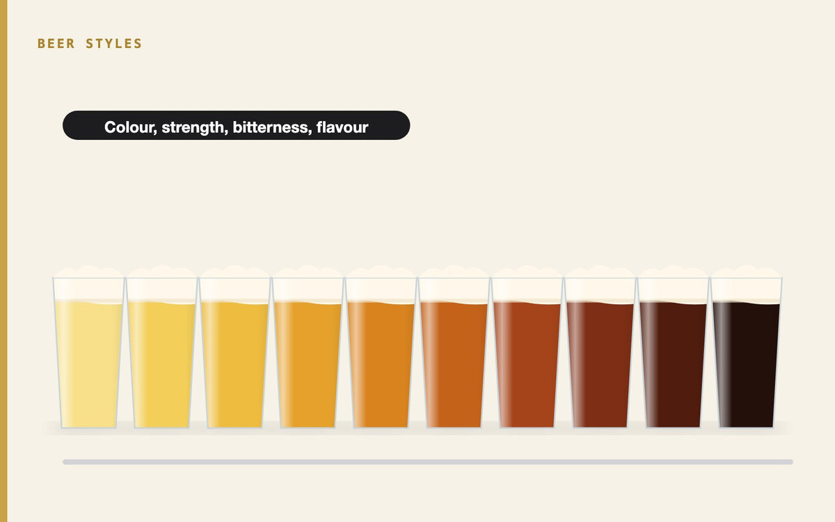Illustration: Understanding the BJCP Style Guidelines: A Comprehensive Overview