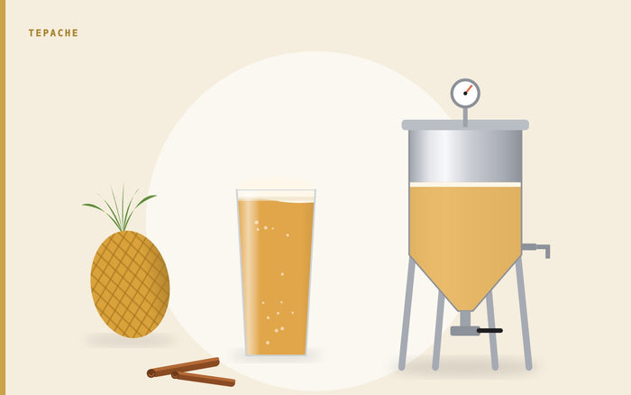 Illustration: a pineapple and cinnamon sticks beside a glass of cloudy amber tepache and a stainless conical fermenter