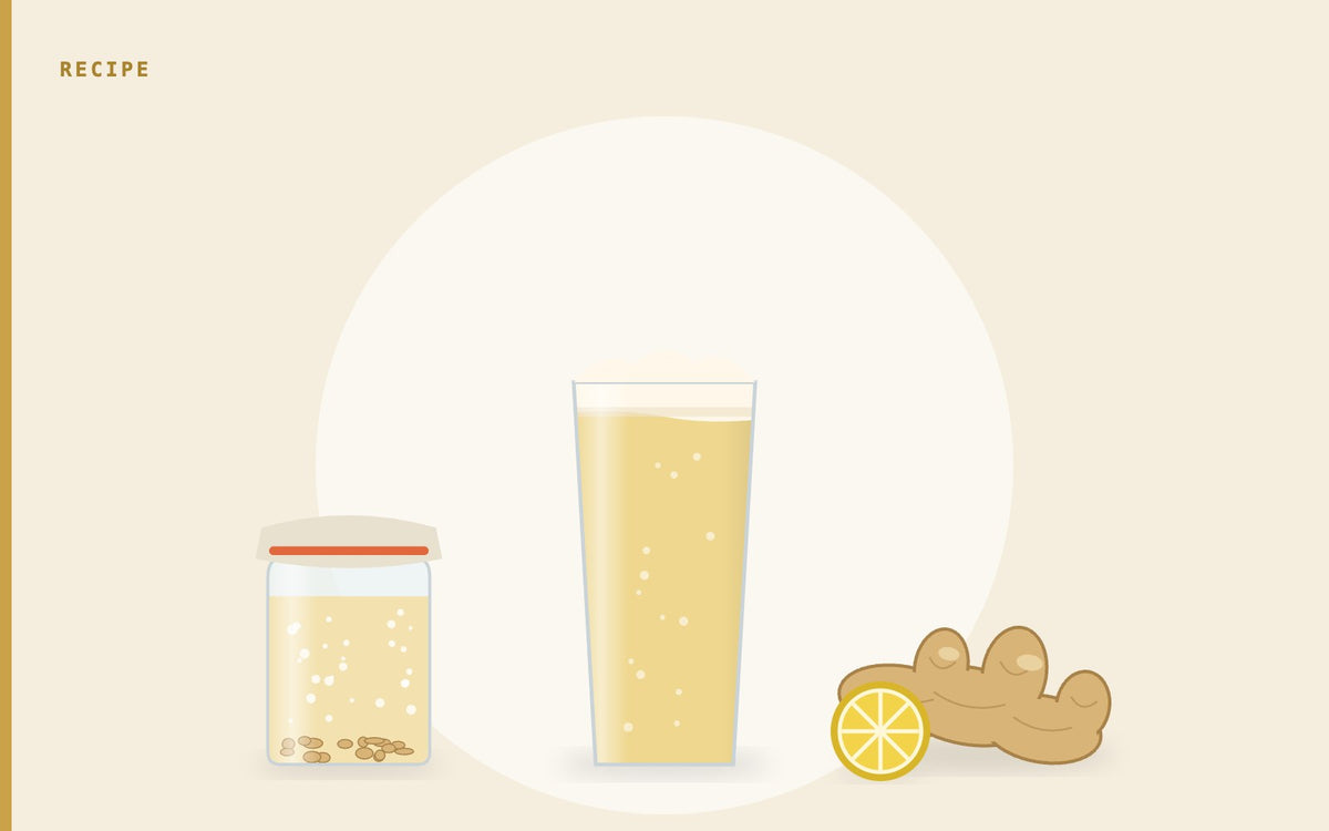 Illustration: a glass of classic ginger beer with a ginger bug jar, ginger root and lemon